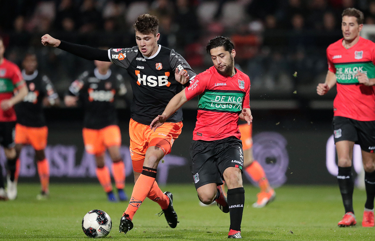 葡萄牙的 葡萄牙的